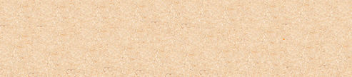 fondob.gif (357 bytes)
